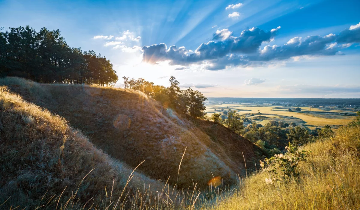 Od kiedy zmiany w tym jak kupić para cord?