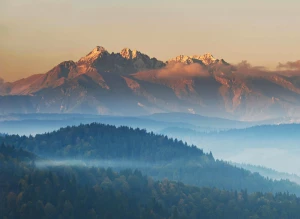 Olejki w kuchni i w kosmetyce