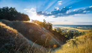 Kardiologia - czyli lekarz od serca
