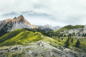 Ciekawe kto może reklamować?