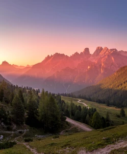 Oprogramowanie optima