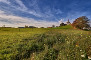 Jak wybrać domek nad Bałtykiem: 7 kluczowych kryteriów (lokalizacja, widok, plaża, sezon, parking, opinie, dojazd) i gotowa checklista dla rodzin 2026
